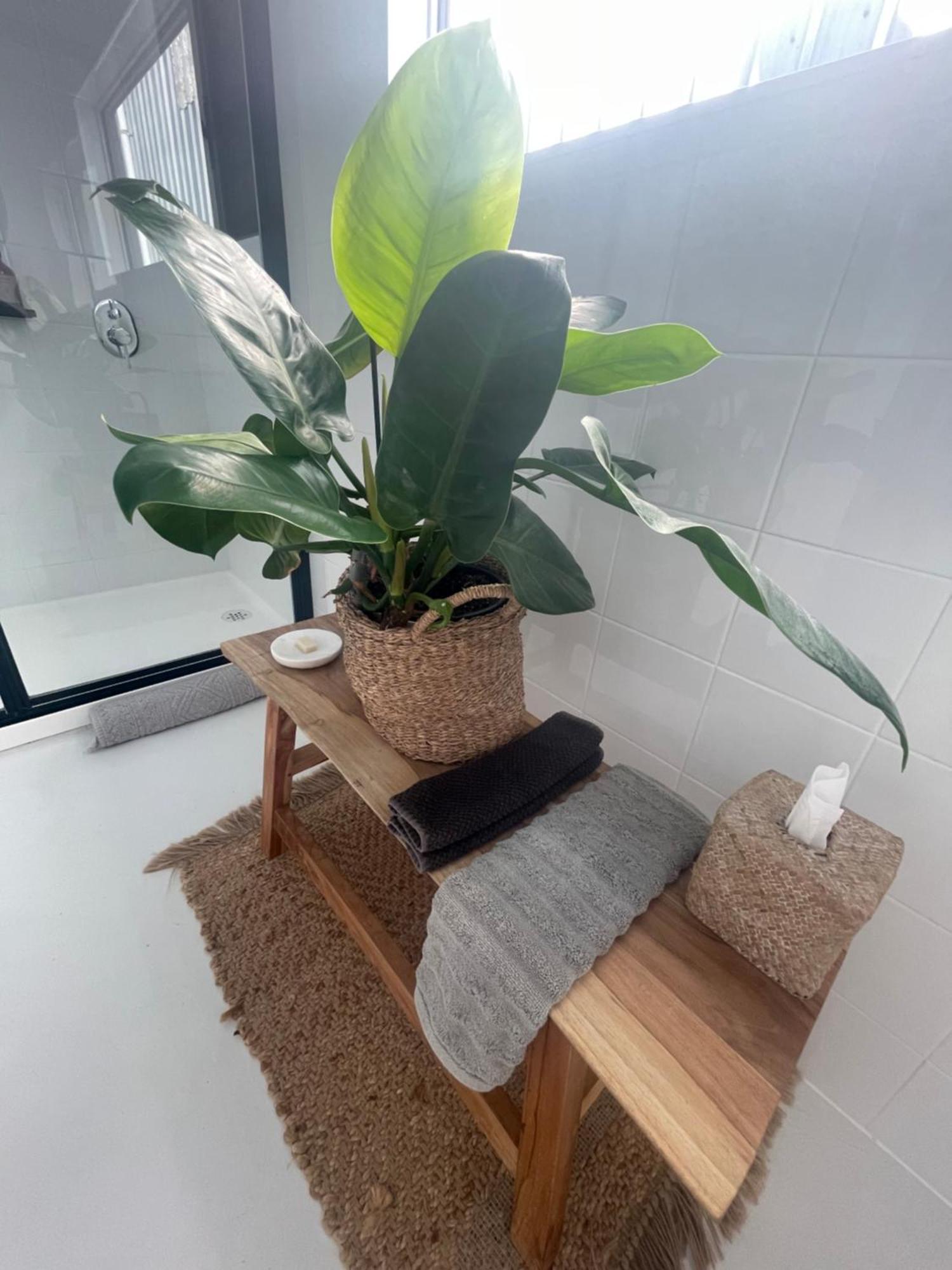 The Birch Apartment - Boutique Accomodation - Central To Wineries And Beaches Leopold Eksteriør billede